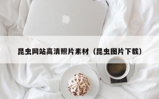 吐鲁番昆虫网站高清照片素材（昆虫图片下载）